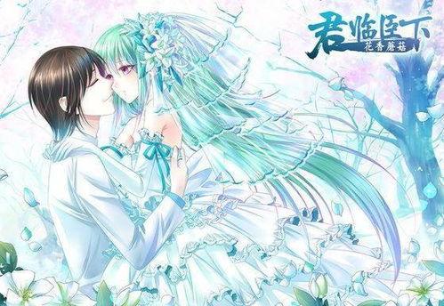 君临臣下动漫免费观看,免费畅享的动漫盛宴