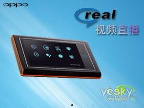 直播视频mp4,MP4内容概览