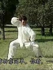 陈氏太极拳26式视频,传承经典，动静结合的养生之道