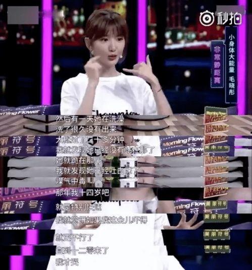 娱乐圈录音爆料集锦大全,揭秘明星隐私风暴