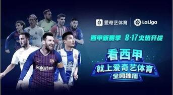 中网视频直播,精彩瞬间回顾与亮点解析